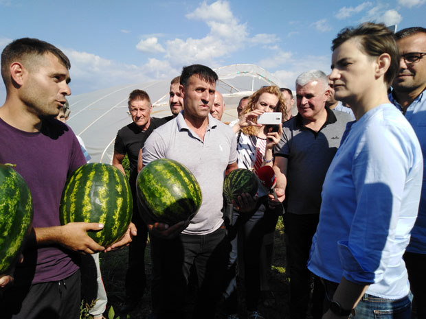 Наводњавање као државна стратегија